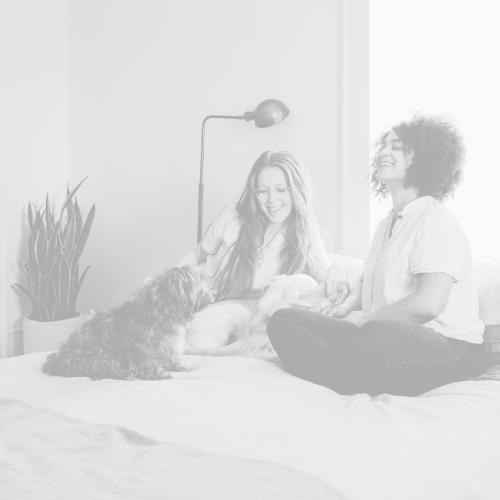 highlight-id-cW9juOedzH