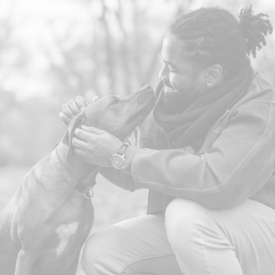 highlight-id-oKkixyhaYD