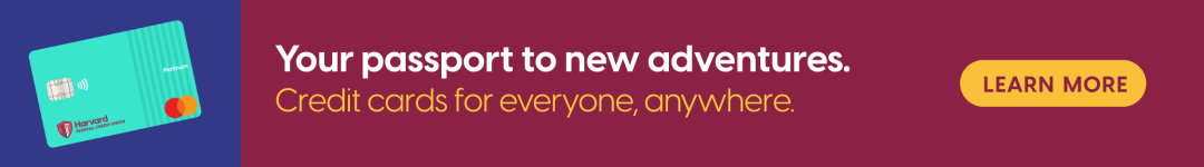 Web Ads_Cards_Grad campaign_web ad 1080 x 150 copy 6